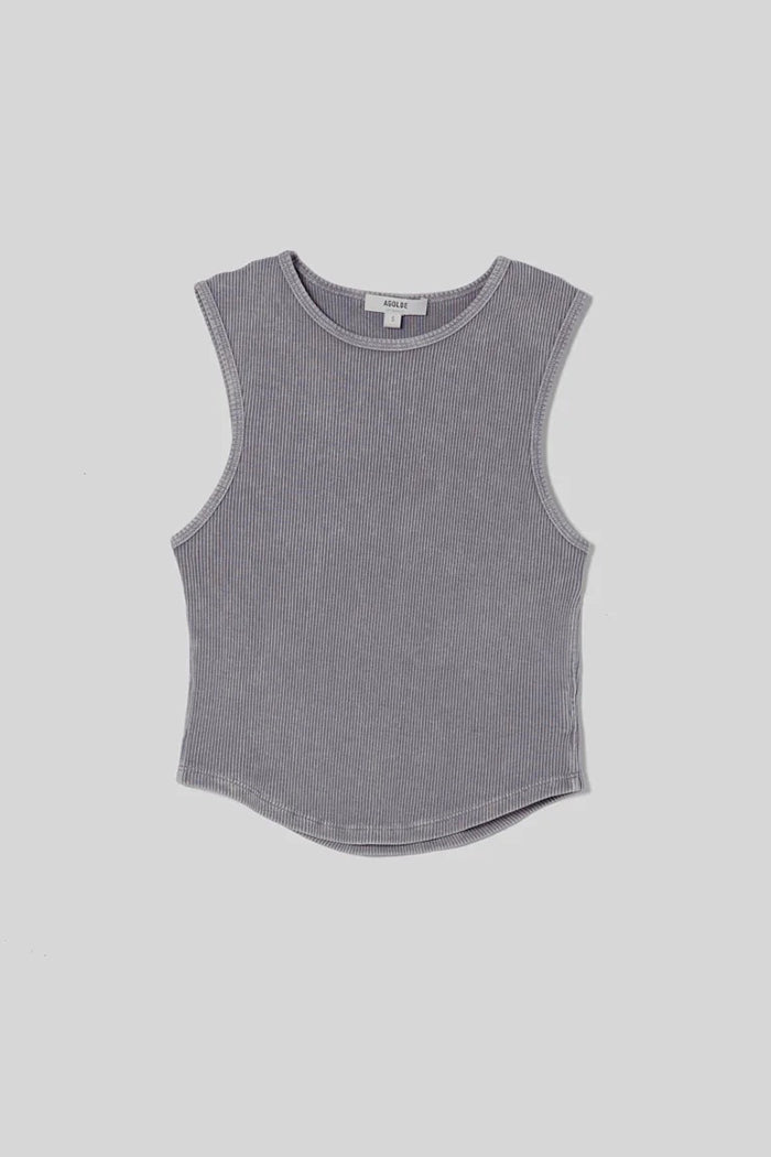 Agolde Nova tank top crop ribbed grey mirror ball fitted | Pipe and Row Seattle