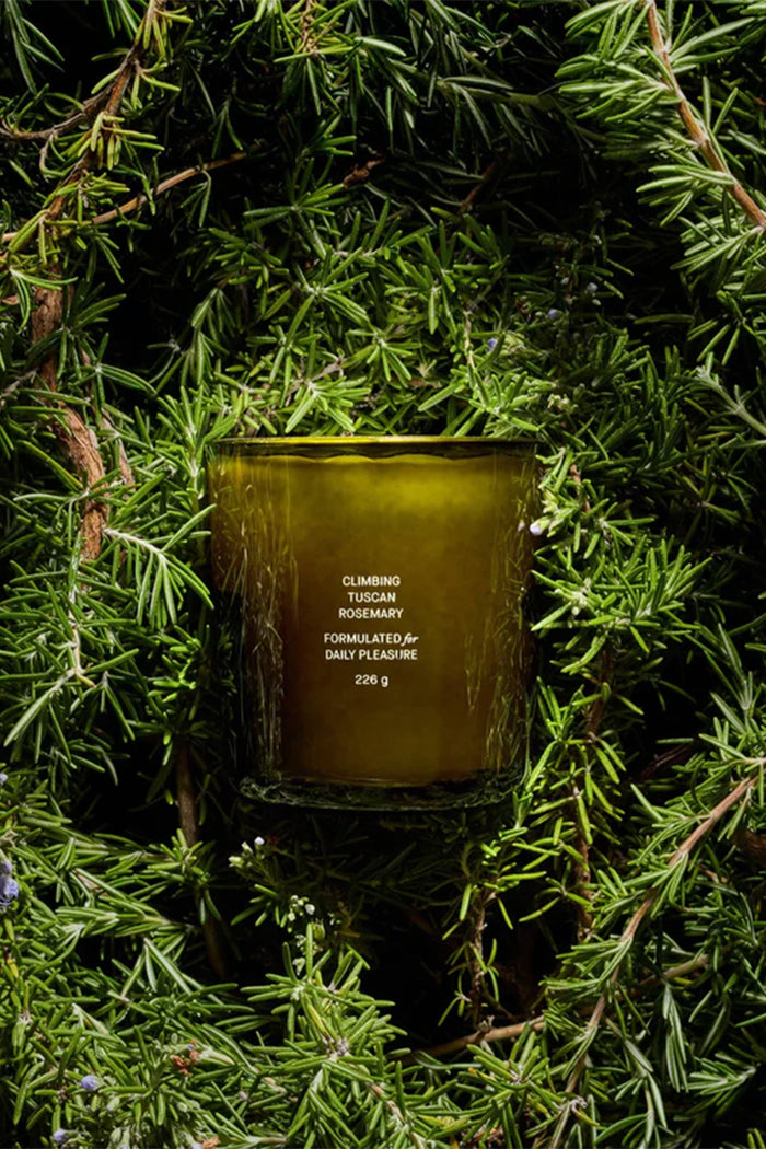 CLIMBING TUSCAN ROSEMARY CANDLE