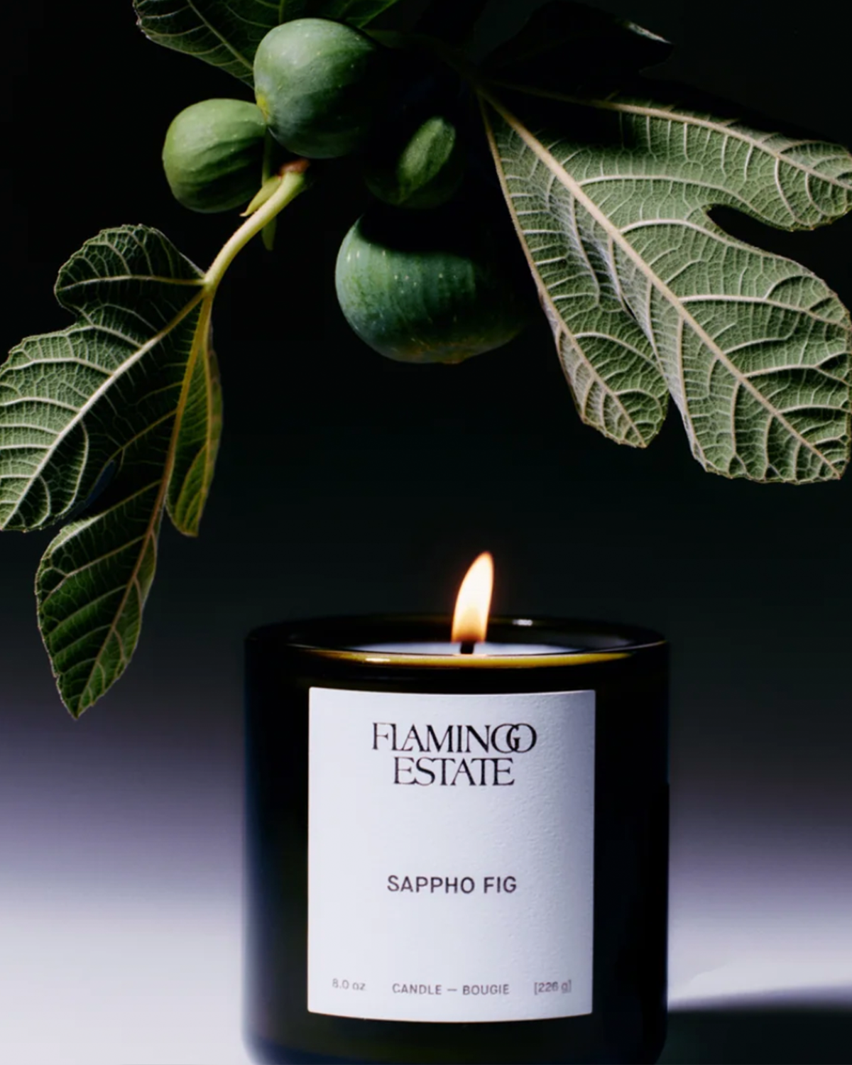 SAPPHO FIG CANDLE