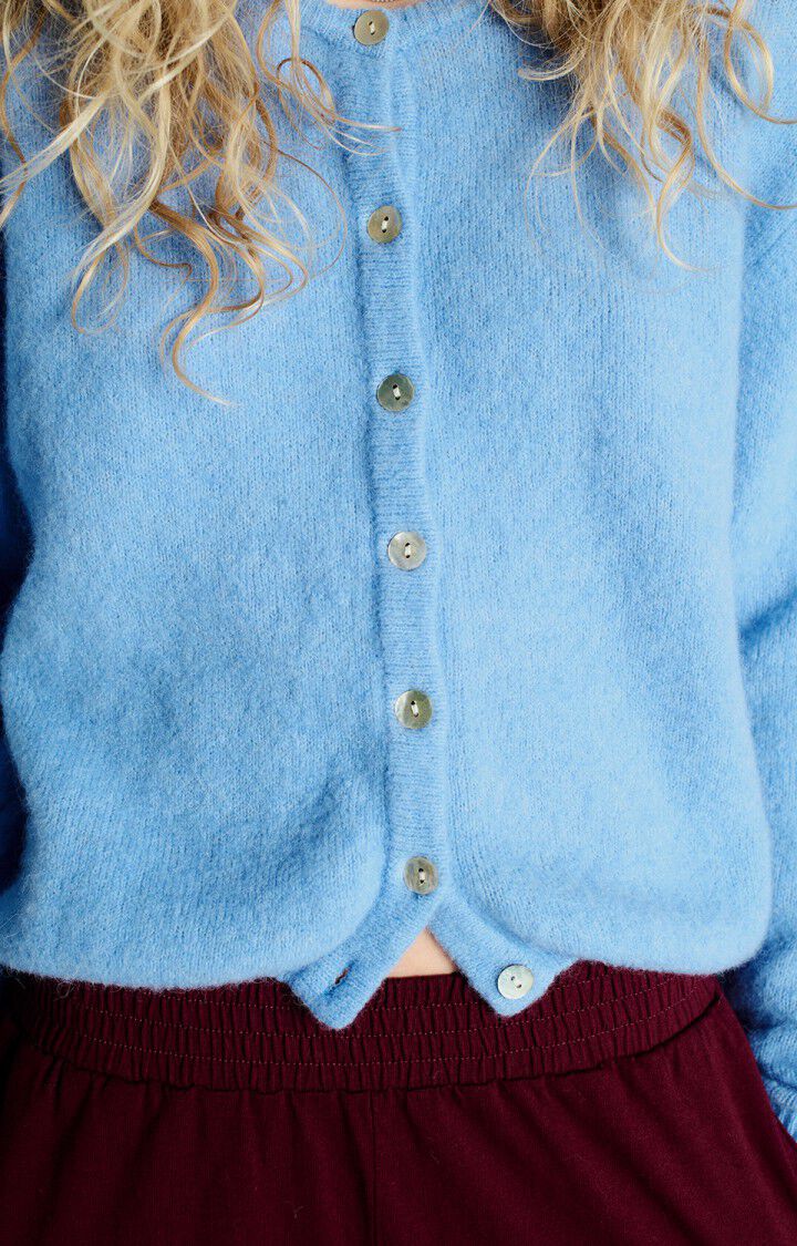 American Vintage Vito button up cardigan sweater atmosphere blue | Pipe and Row