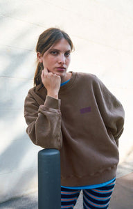 American Vintage washed chestnut brown Plizzy sweatshirt | Pipe and Row