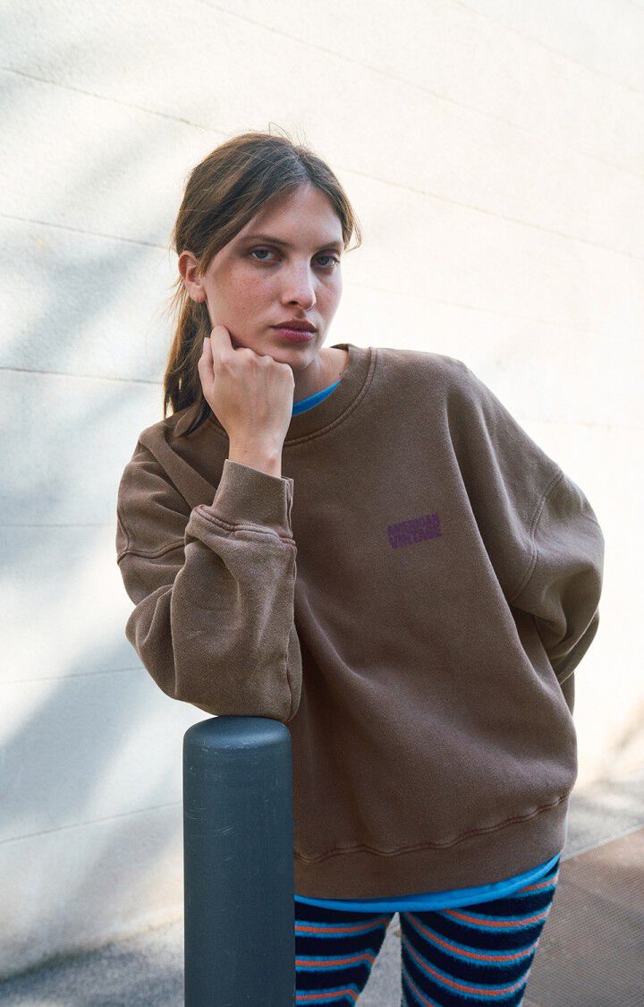 American Vintage washed chestnut brown Plizzy sweatshirt | Pipe and Row