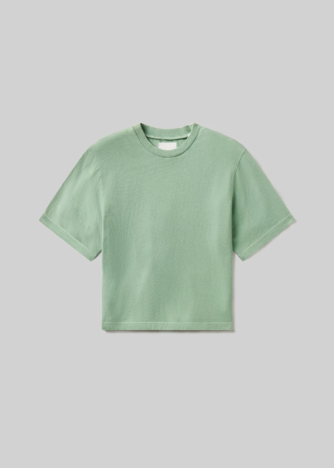 Citizens of Humanity light green cadet Goldie tee slight oversized fit | Pipe and Row
