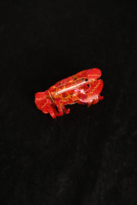 Crawfish hair claw in red. 4inch length. PIPE AND ROW