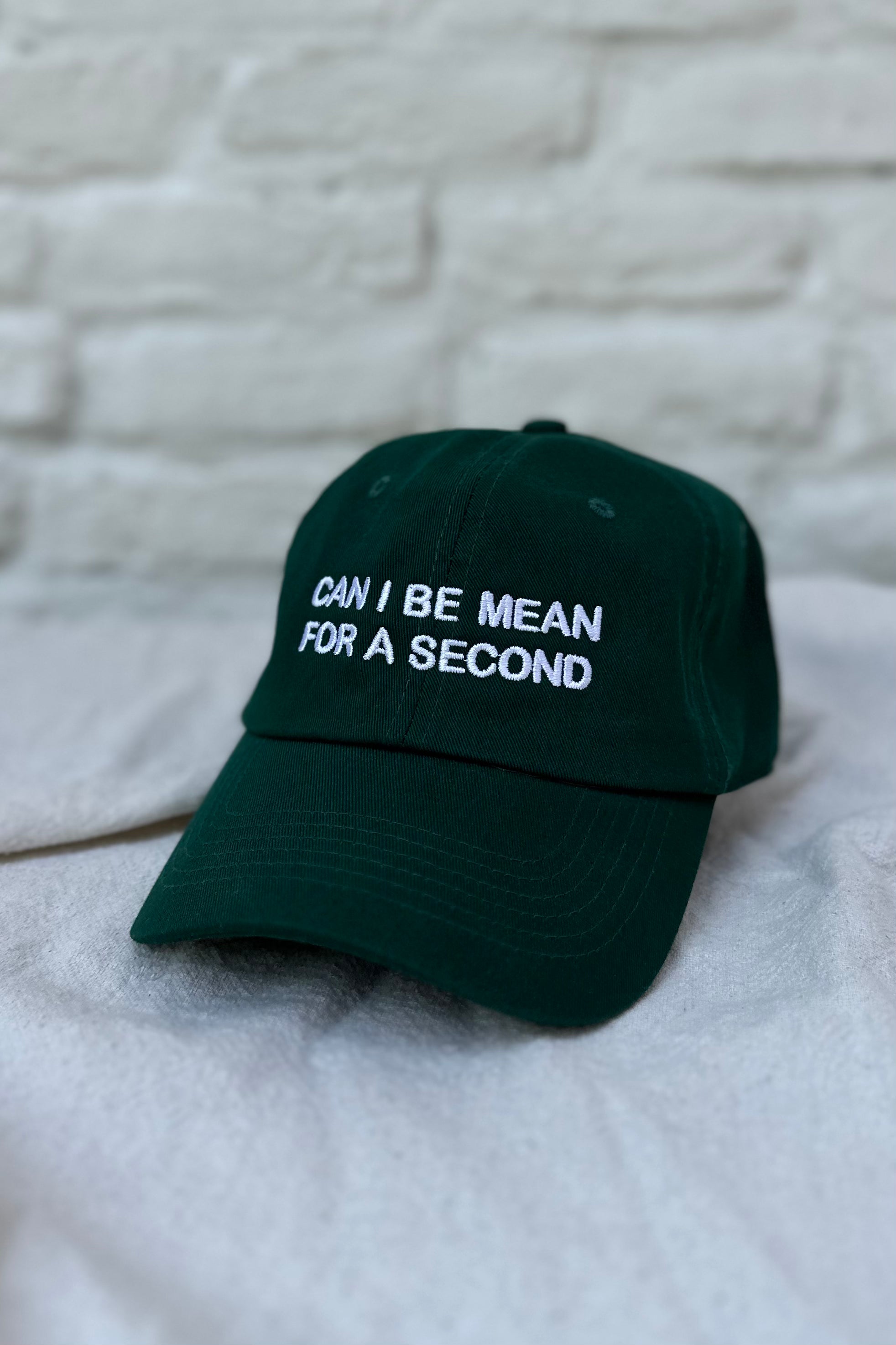 CAN I BE MEAN FOR A SECOND Intentionally Blank dad hat | pipe and row boutique seattle