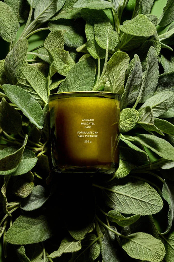 ADRIATIC MUSCATEL SAGE CANDLE