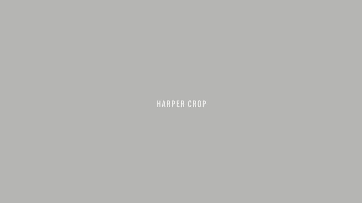 Agolde Harper crop dark washed black Hush wash comfort | Pipe and Row Seattle