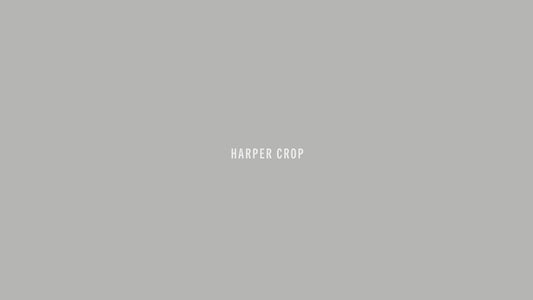 Agolde Harper crop dark washed black Hush wash comfort | Pipe and Row Seattle